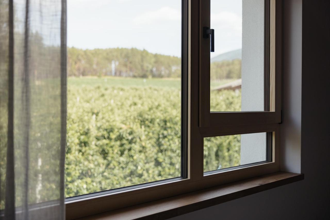 Plattnerhof Viums Apartment Natz-Schabs Luaran gambar